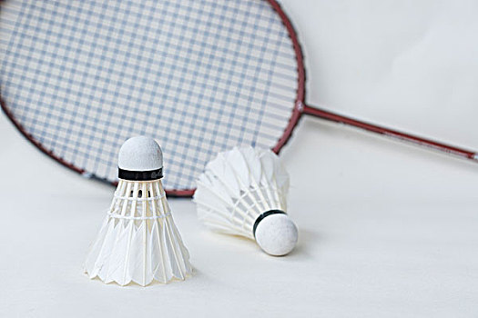 不可忽视的 不可忽视的