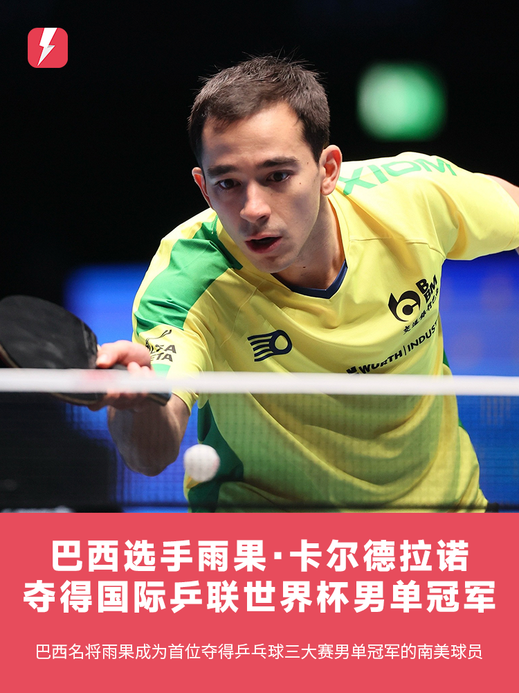 这种坚韧的 这种坚韧的